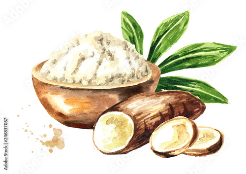 Cassava root, tuber, slices, powder and slices. Manihot esculenta. Watercolor hand drawn illustration, isolated on white background photo