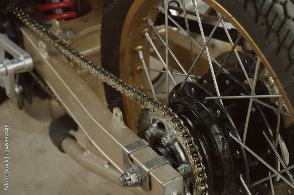 Fototapeta premium bicycle wheel and chain closeup