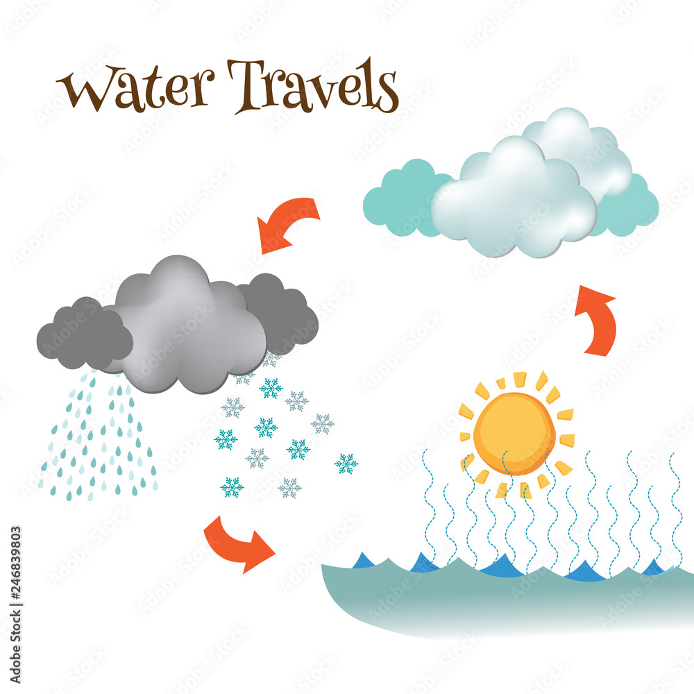 A simple diagram showing the evaporation, condensation, and precipitation  of water. vector de Stock | Adobe Stock