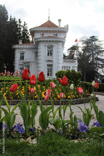  Ataturk kiosk with tulips garden, formerly used as Kapagiannidis summer residence, in Trabzon, Turkey photo