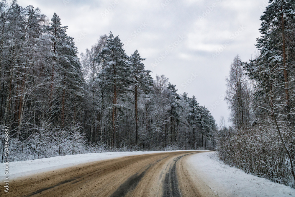Obraz premium Beauty of winter
