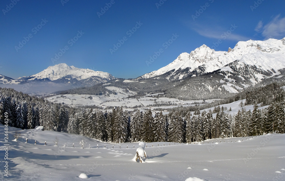 Winterlandschaft in Salzburg - snowed-in landscape in Salzburg, Austria
