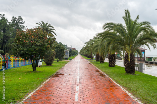 The beautiful seaside Park in the center of Batumi, rainy day © k_samurkas