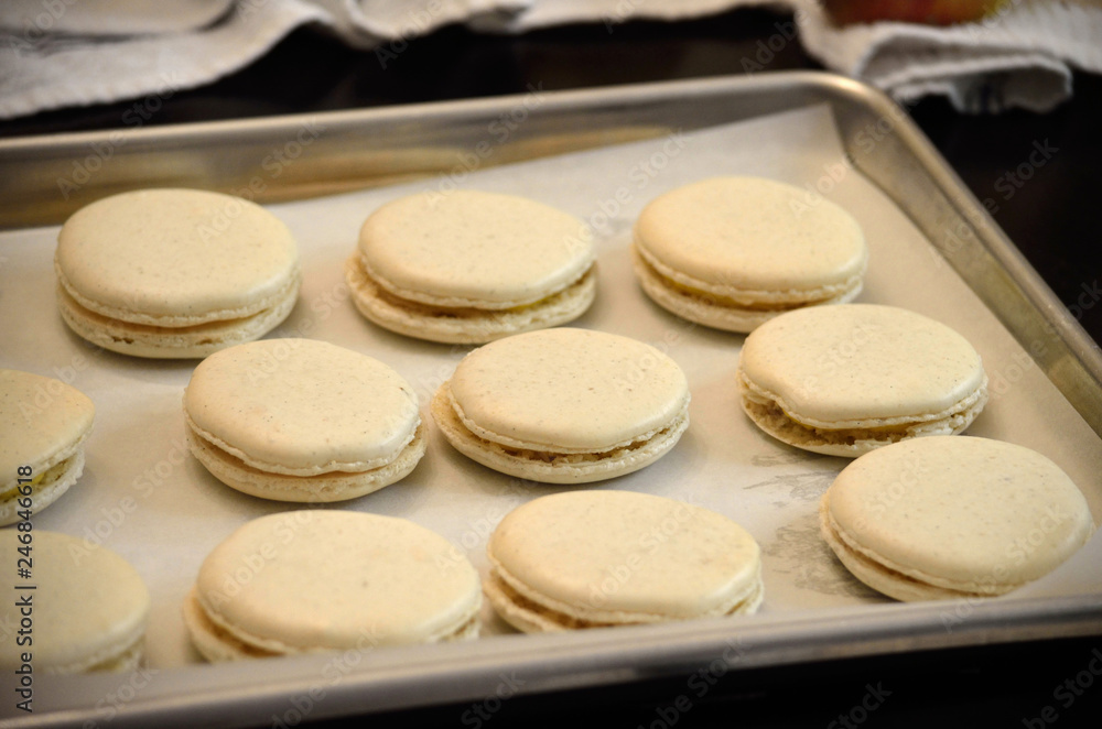 Vanilla macarons fresh out of the oven Vanilla macarons fresh out of the oven