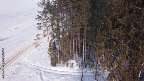 Wallpaper Mural Frost and sun Torontodigital.ca