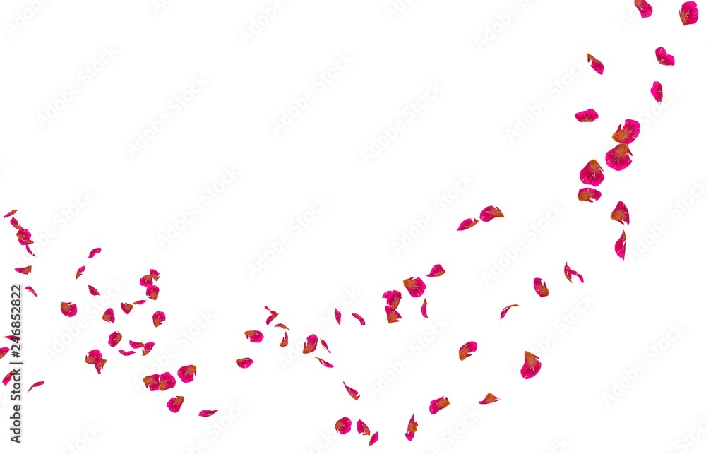 Red rose petals fly into the distance Red rose petals fly into the distance