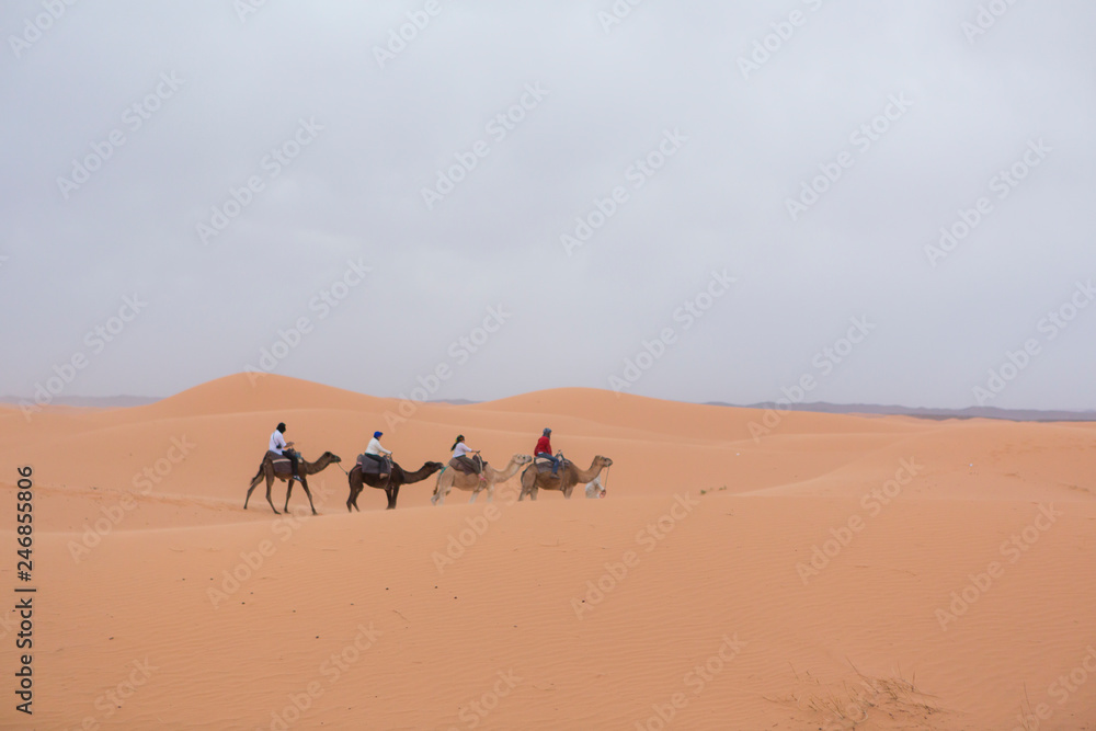 Desierto Sahara