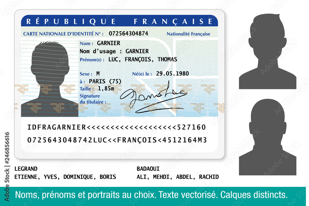 enter Flash Planned Carte Nationale d'Identité Française-Homme-1 Stock Vector | Adobe Stock