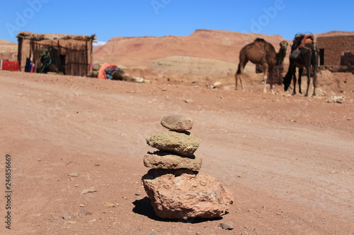 stone formation in front of camels in the desert in morocco photo