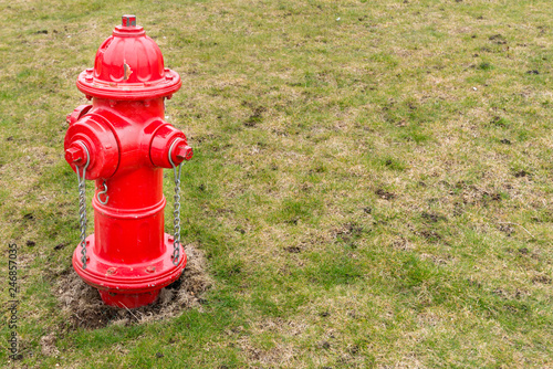 bright red fire hydrant surrounded by grass