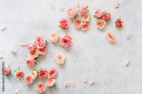 Fototapeta Róże Na Textured Tle. Różnorodne różowe róże pączki i płatki rozpraszali na nieociosanym tle, koszt stały widok, kopii przestrzeń