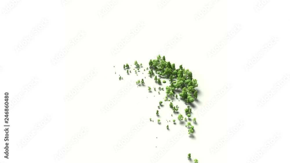 brazil forest growth