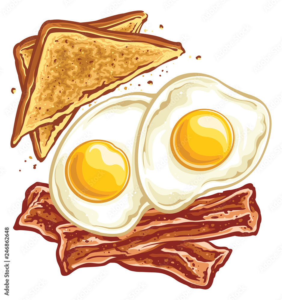 Bacon eggs and toast Stock Vector Adobe Stock