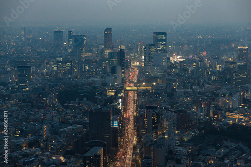 Japan Skyline at Dusk