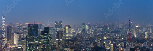 Tokyo skyline, Japan © Matt Palmer