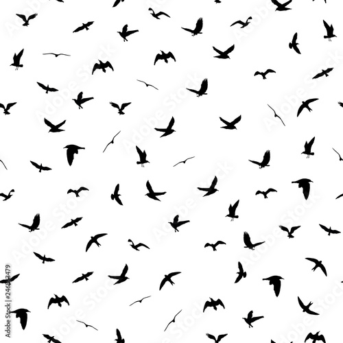 Flying birds silhouettes on white background. Animals seamless detailed pattern. Black on white backgound. Vector illustration © boxerx