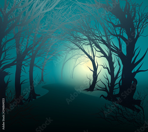 scary forest with light, park lane at night with mystery yellow light, halloween mystery,