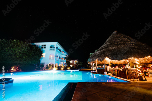 Poolside Tiki Bar in Belize photo