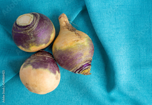 Slika na platnu three ripe rutabagas on a green linen cloth with copy space
