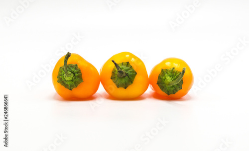 3 bright orange mini sweet peppers in a row with stems up isolated on white photo