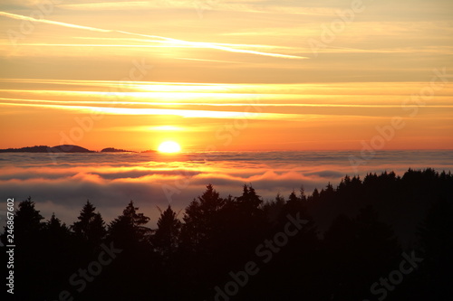 Sonnenuntergang im Schwarzwald