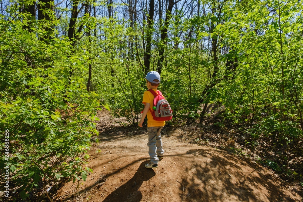 backpack child hiking summer green. kid. backpack child hiking summer green. kid.