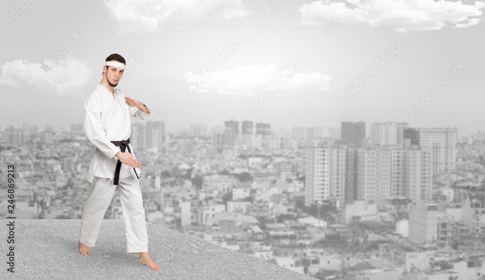 Young karate trainer doing karate tricks on the top of a metropolitan city
Young karate trainer doing karate tricks on the top of a metropolitan city