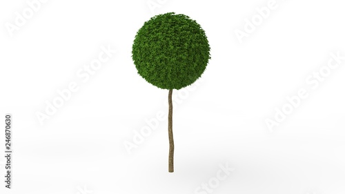 Photos 3d rendering of a green plant isolated on a white background