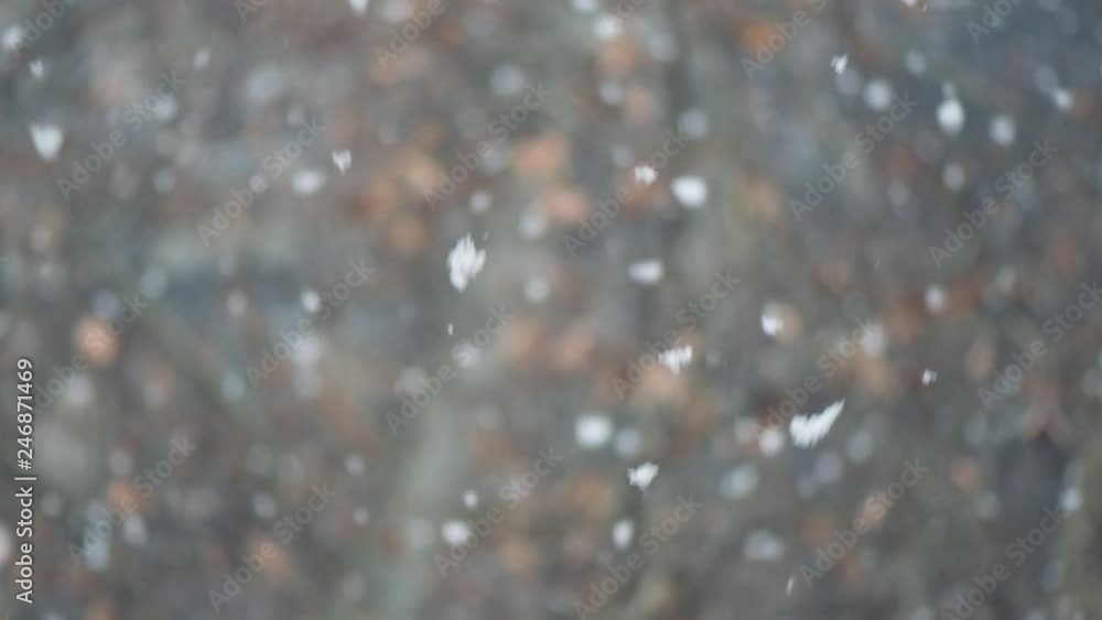 Idyllic snowfall in slow motion, large snowflakes as abstract winter season background with shallow depth of field Idyllic snowfall in slow motion, large snowflakes as abstract winter season background with shallow depth of field