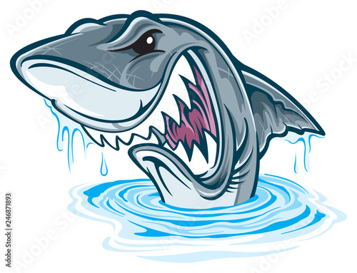 Great white shark