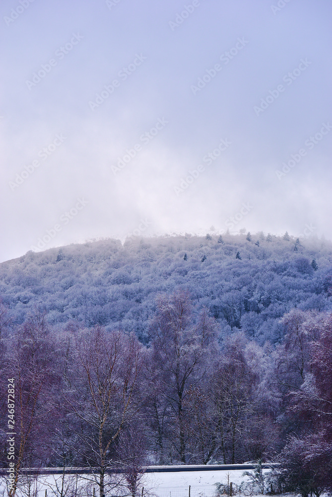 Campagne enneigée en Auvergne près de Clermont-Ferrand, arbres gelés dans des tons violet-bleu