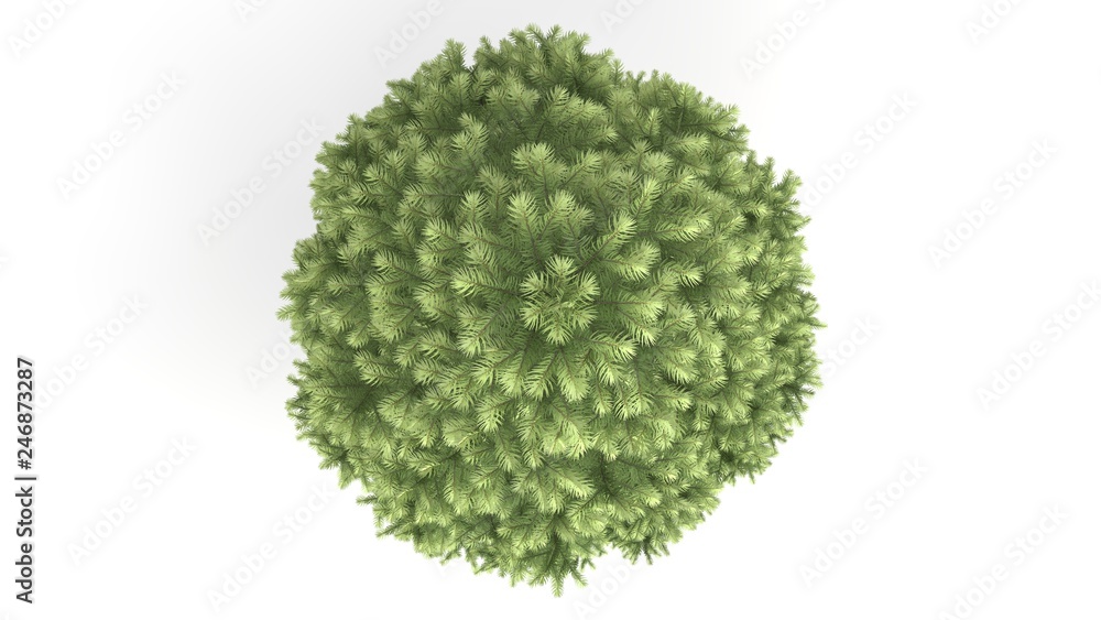 3d rendering of a green plant isolated on a white background 3d rendering of a green plant isolated on a white background