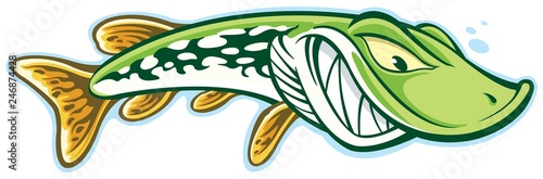 Northern pike