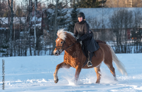 Woman horseback riding in winter © citikka