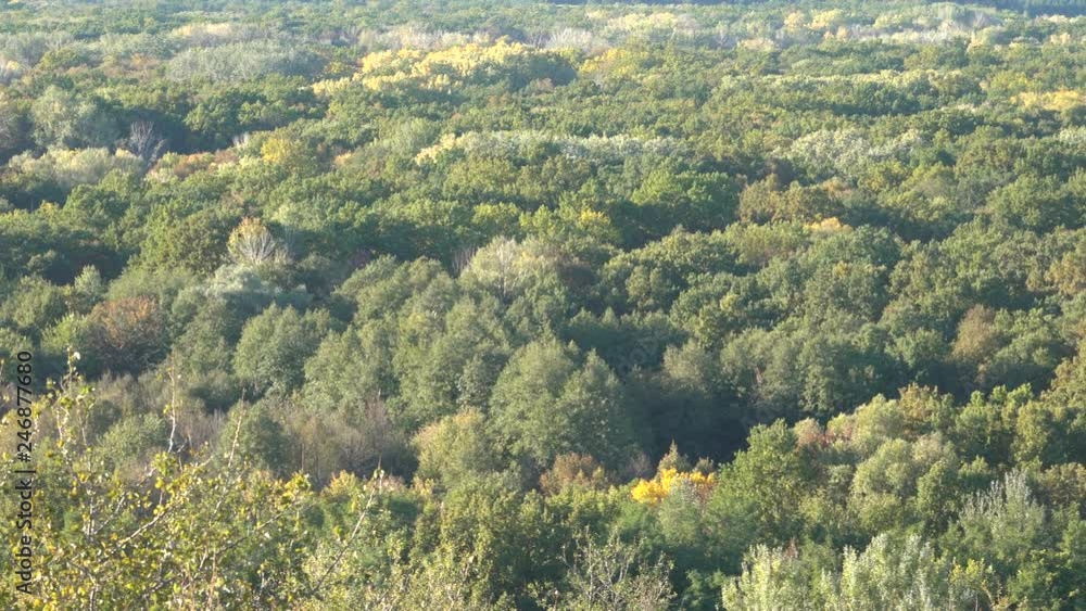Deciduous forest in hilly terrain. Autumn landscape in the countryside. Deciduous forest in hilly terrain. Autumn landscape in the countryside.