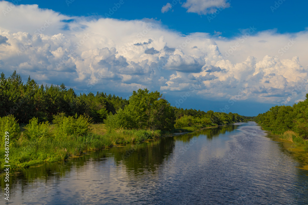 Summer landscape: river in the forest