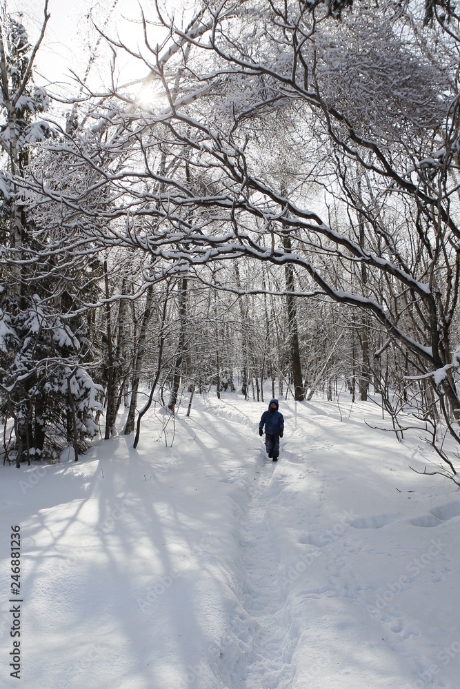 enfant qui marche dans la forêt enneigé, Québec, Canada