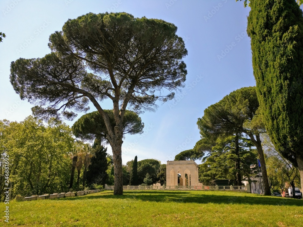 Roma Roma