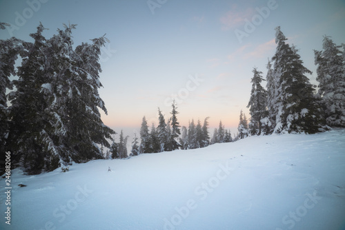 Wallpaper Mural Evening winter landscape in the Ukrainian Carpathians with snow-capped peaks, fogs and beautiful skies. Torontodigital.ca