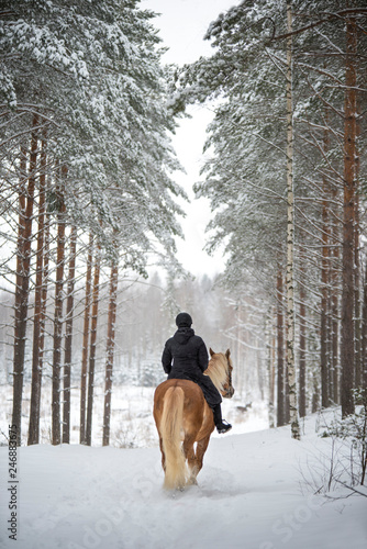 Woman horseback riding in forest