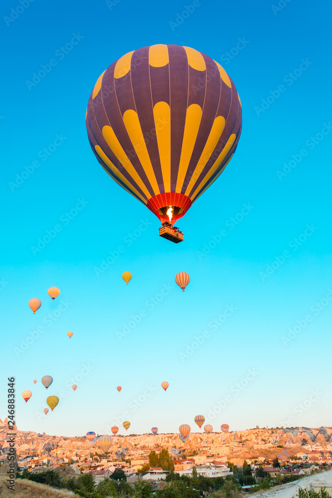 Fototapeta premium Colorful hot air balloons flying over at fairy chimneys in Nevsehir, Goreme, Cappadocia Turkey. Hot air balloon flight at spectacular Cappadocia Turkey. 