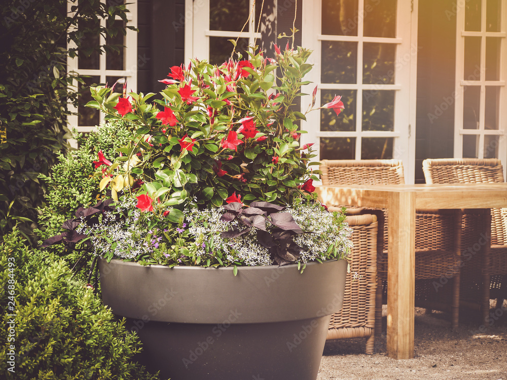 container garden with patio furniture