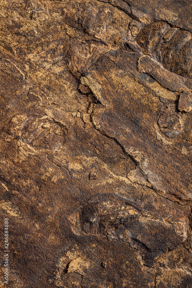 Stone Texture Stone Texture