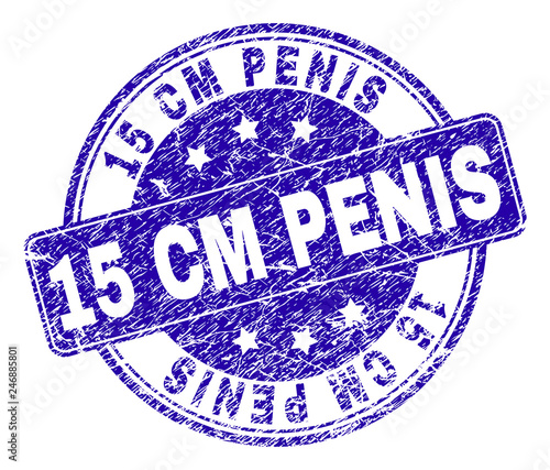 15 CM PENIS stamp seal watermark with distress style. Designed with rounded rectangle and circles. Blue vector rubber watermark of 15 CM PENIS caption with dust style.