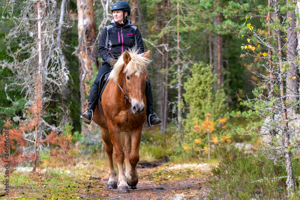 Woman horseback riding in forest Woman horseback riding in forest