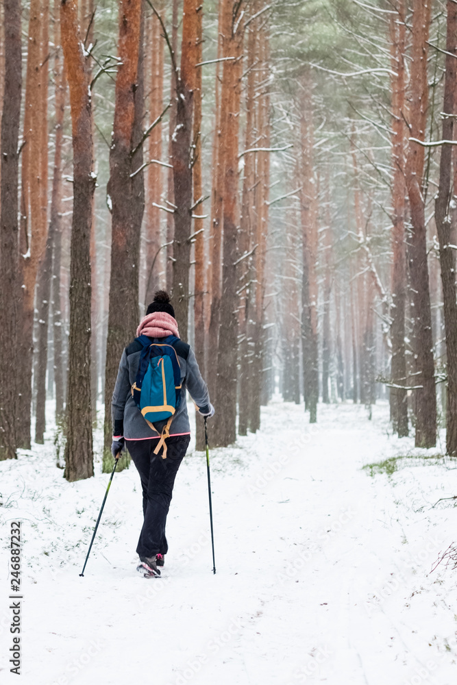 Winter nordic walking in the forest during snowfall Winter nordic walking in the forest during snowfall