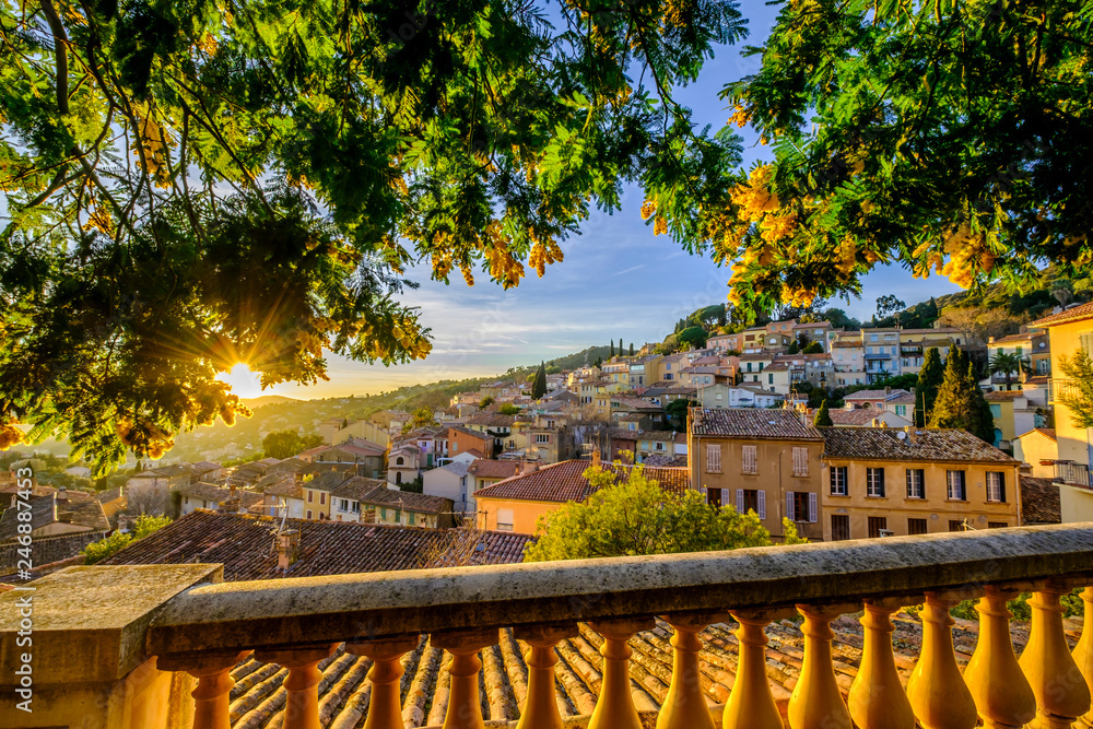 Vue panoramique sur le village de Bormes-les-Mimosas depuis la terrasse. Arbres de mimosa en fleurs. Coucher de soleil. Provence, France.