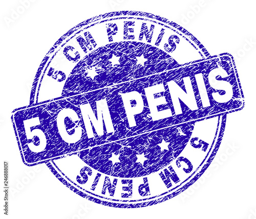 5 CM PENIS stamp seal imprint with distress style. Designed with rounded rectangle and circles. Blue vector rubber watermark of 5 CM PENIS label with unclean style.