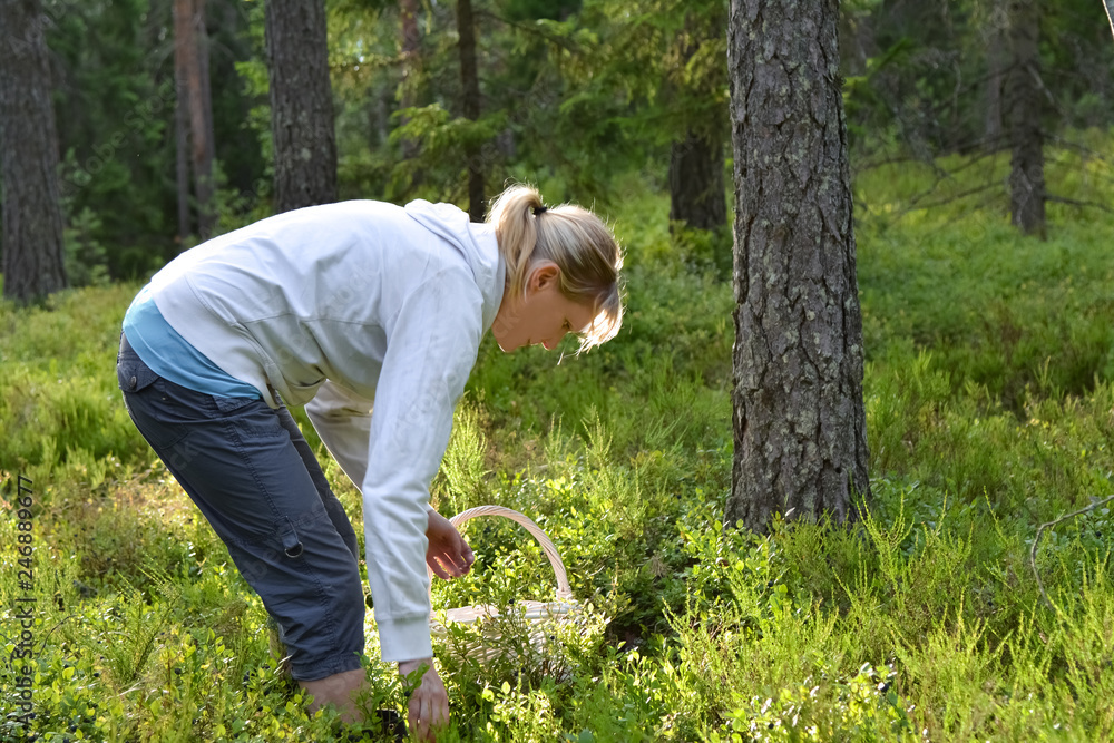 Woman picking berries and mushrooms in forest Woman picking berries and mushrooms in forest
