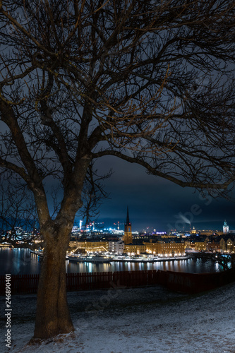 night view of stockholm in winter
